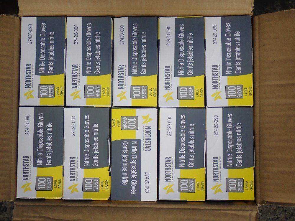 Northstar Large Large Disposable Glove