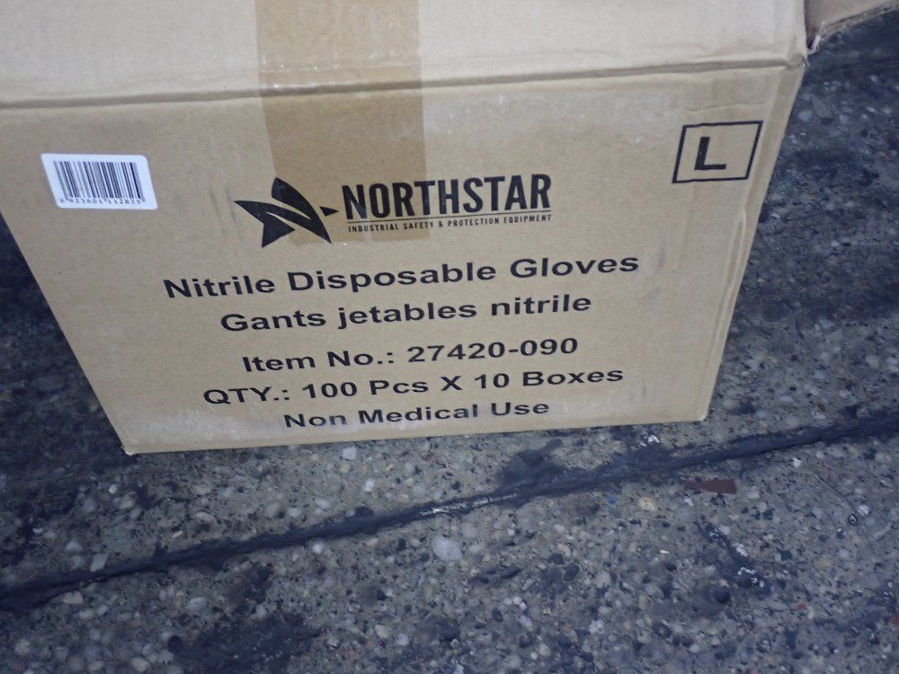 Northstar Large Large Disposable Glove