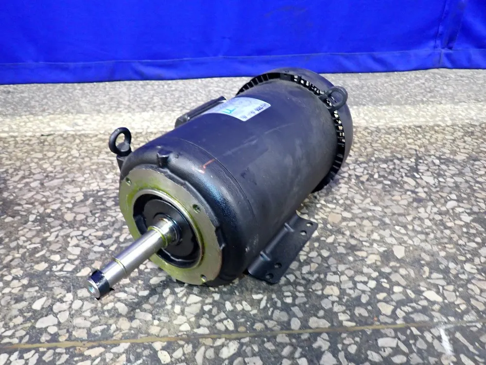 Weg Motor