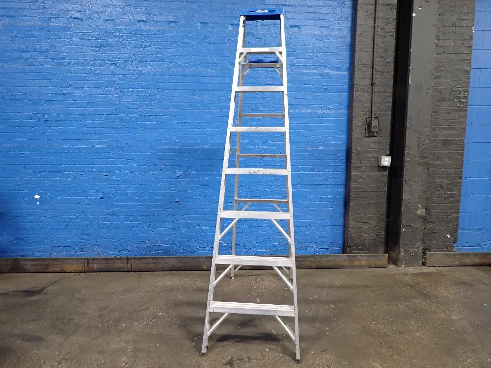 LADDER
