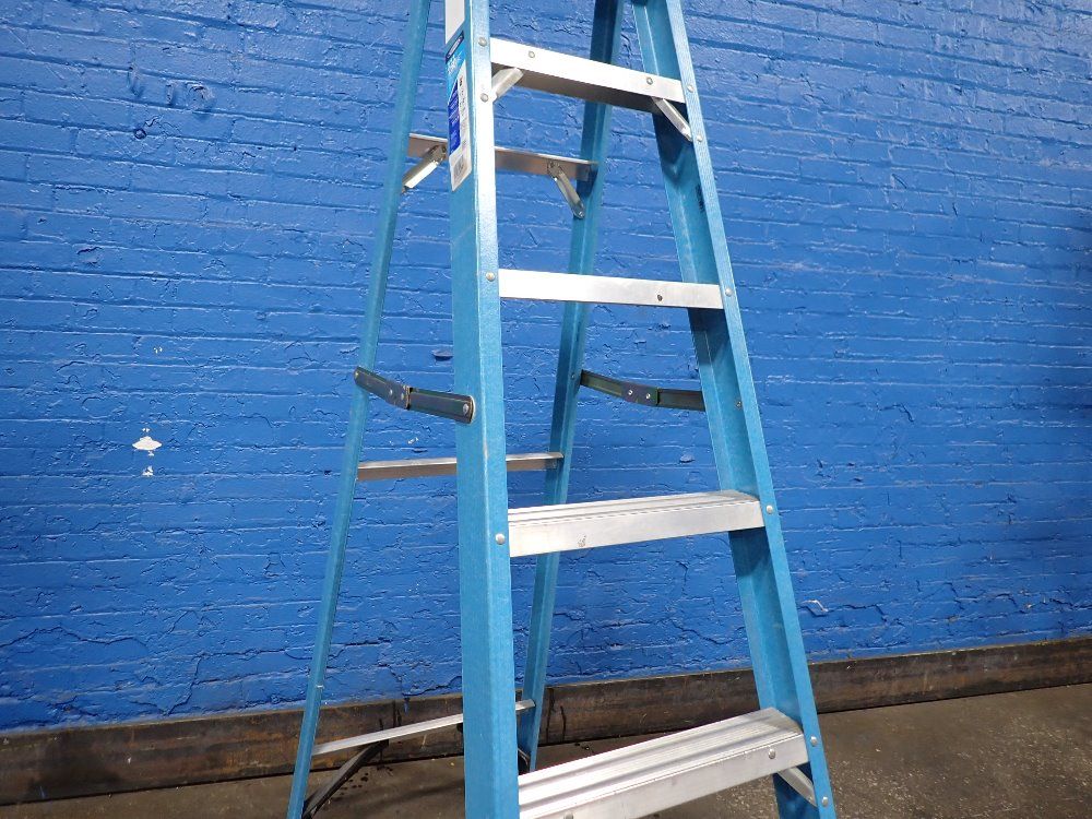 Werner 250 Lbs Ladder - Fs106