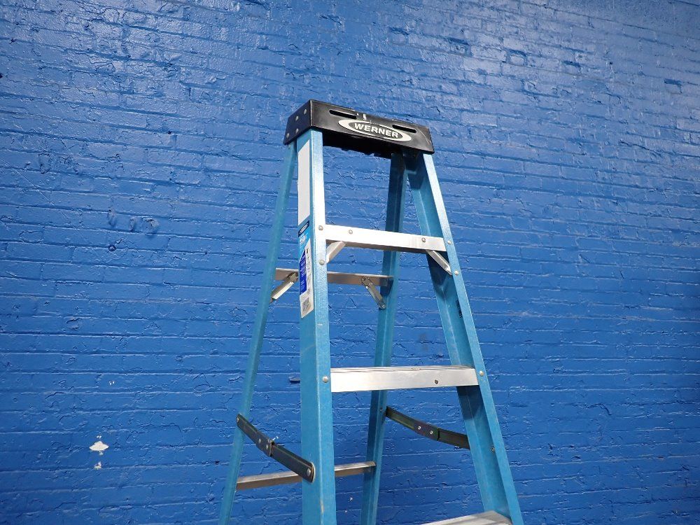 Werner 250 Lbs Ladder - Fs106