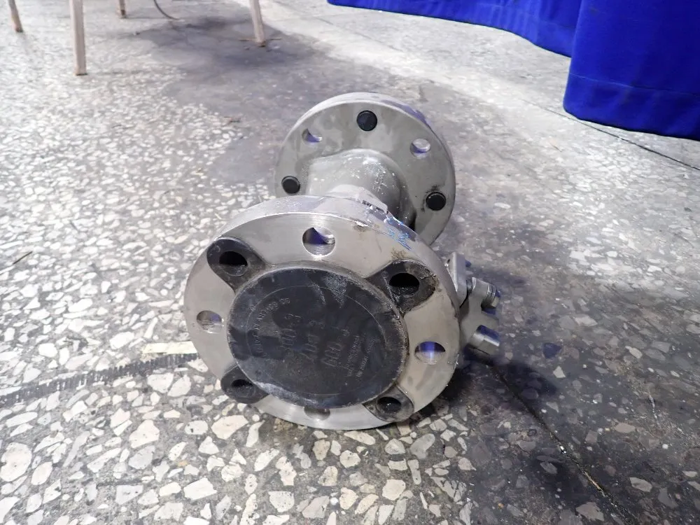 Flowserve Actuator