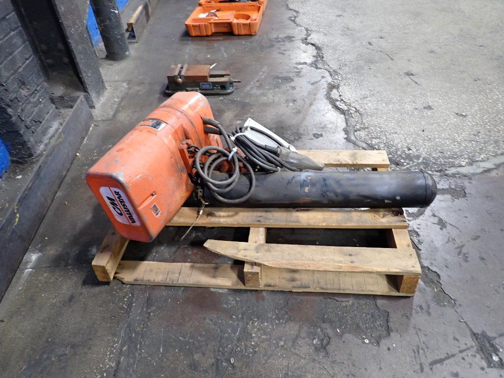 Cm Electric Chain Hoist