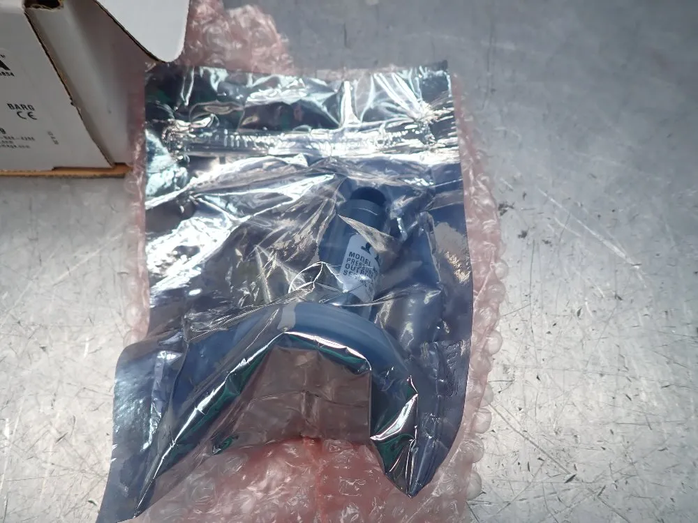 Omega Sanitary Pressure Transducer