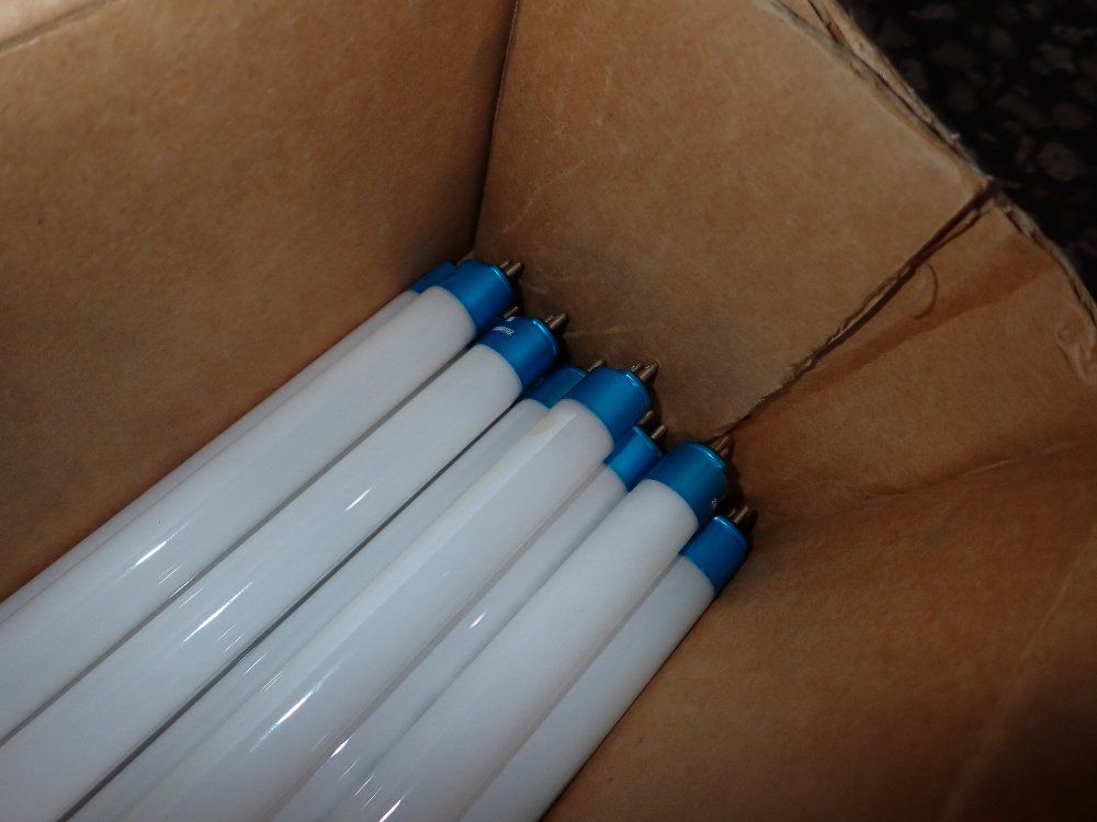 Espen Led Bulbs