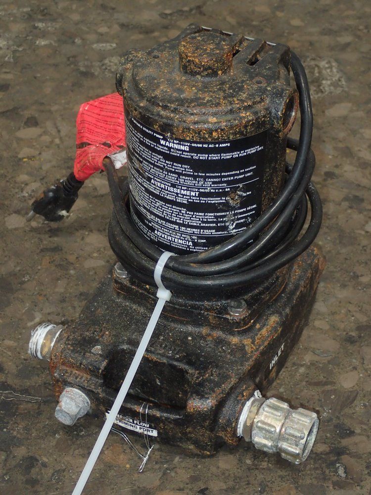 Wayne Portable Utility Pump