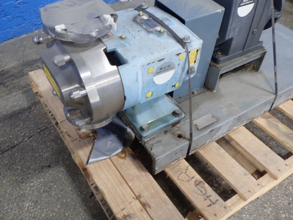 Wakukesha/ Cherry Burrell Pump