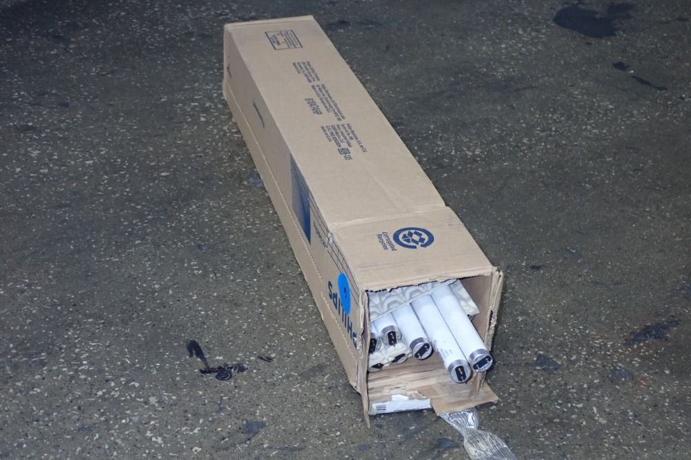 Philips Fluorescent Light Bulbs