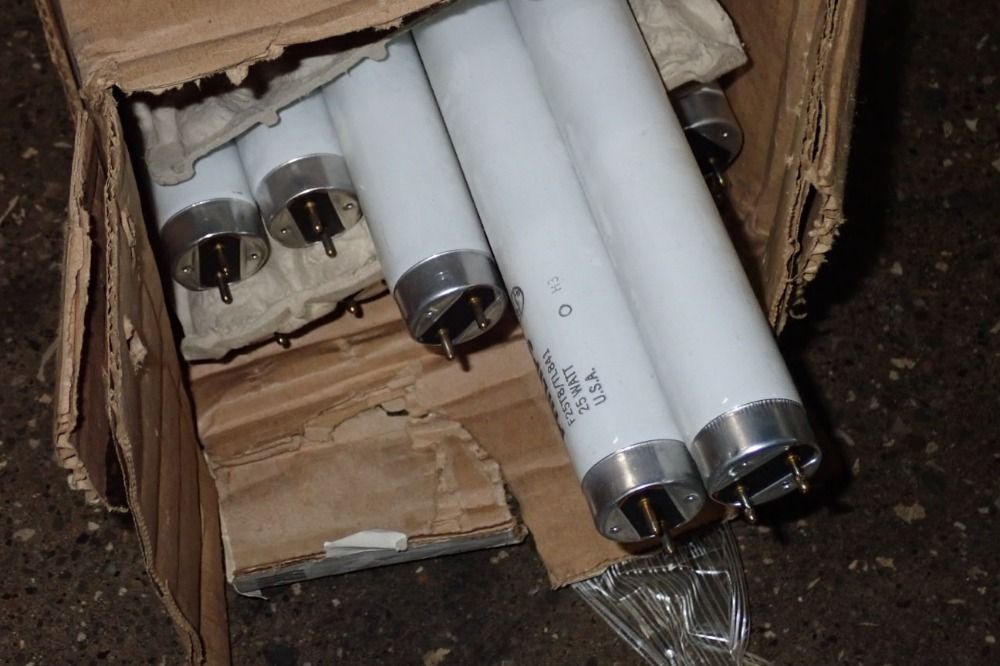 Philips Fluorescent Light Bulbs