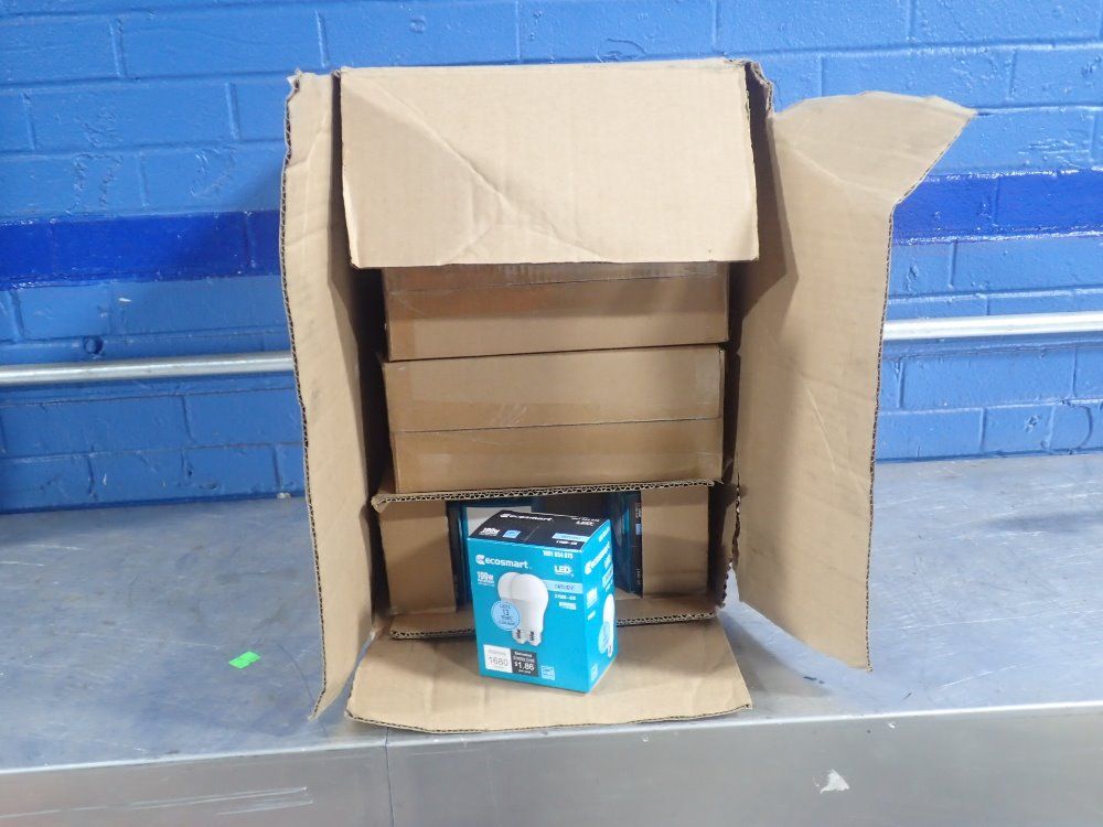 Ecosmart Light Bulbs