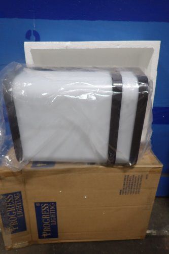 Progressive Lighting Wall Mounted Light