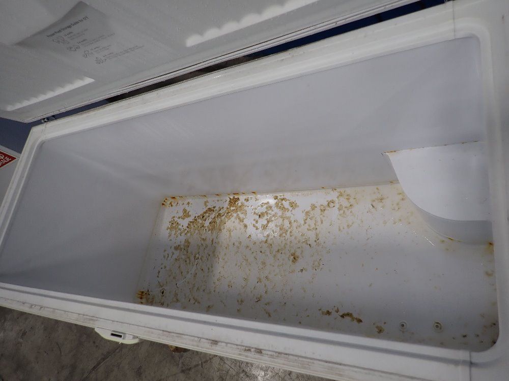 General Electric 60"lx22"wx29"h (interior) Household Freezer - Fcm22dhww