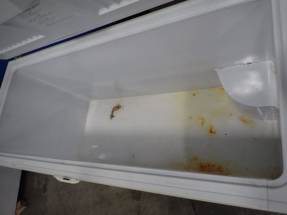 General Electric Household Freezer