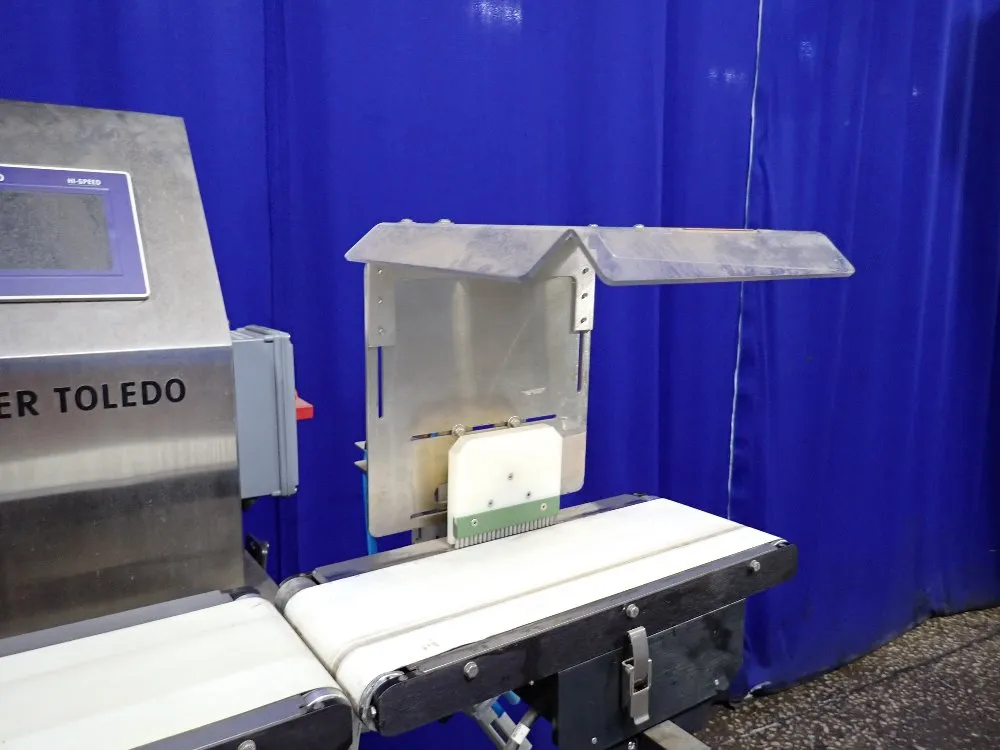 Mether Toledo 6" X 41" High Speed Weight Checker - Xe3