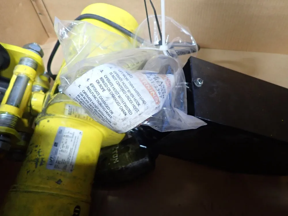 Budgit 4000lbs Hoist - Beh216