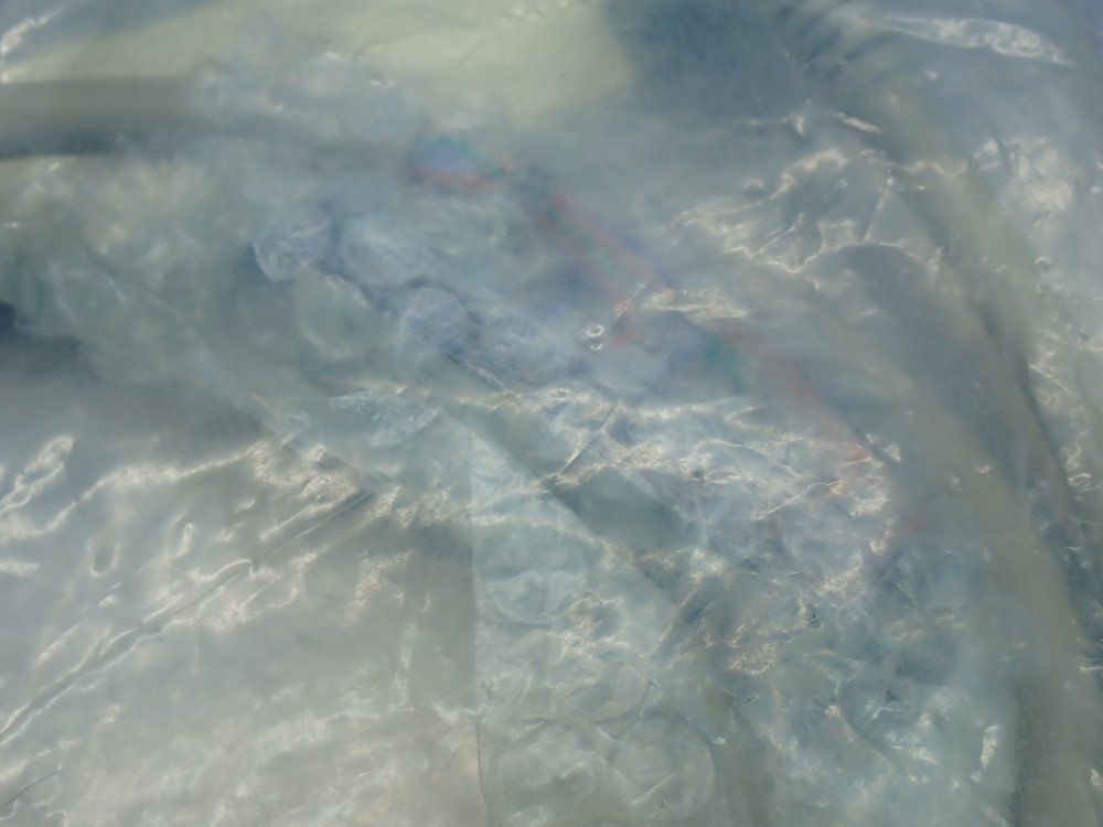 Allen Bradley 1.0m Long Pre-wired 1769 Digital I/o Cable - 1492-cab010a69