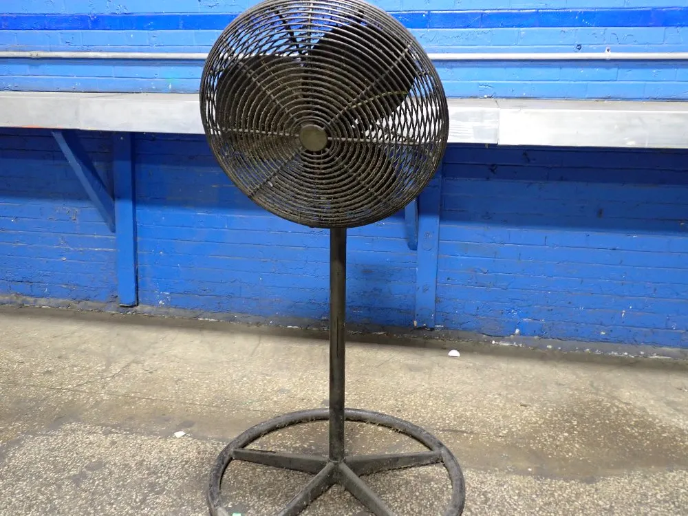 PEDESTAL FAN 