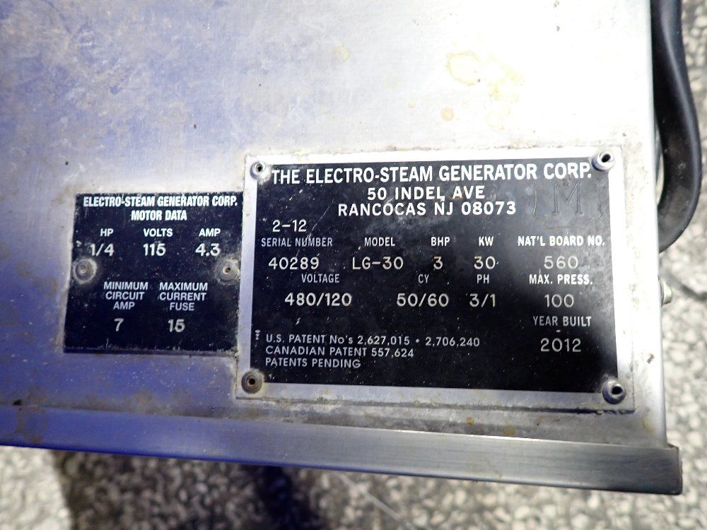 Electro Steam 1/4 Hp Steam Generator - Lg-30