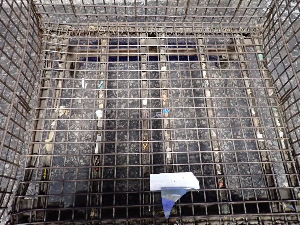 45"x38" Collapsible Wire Basket