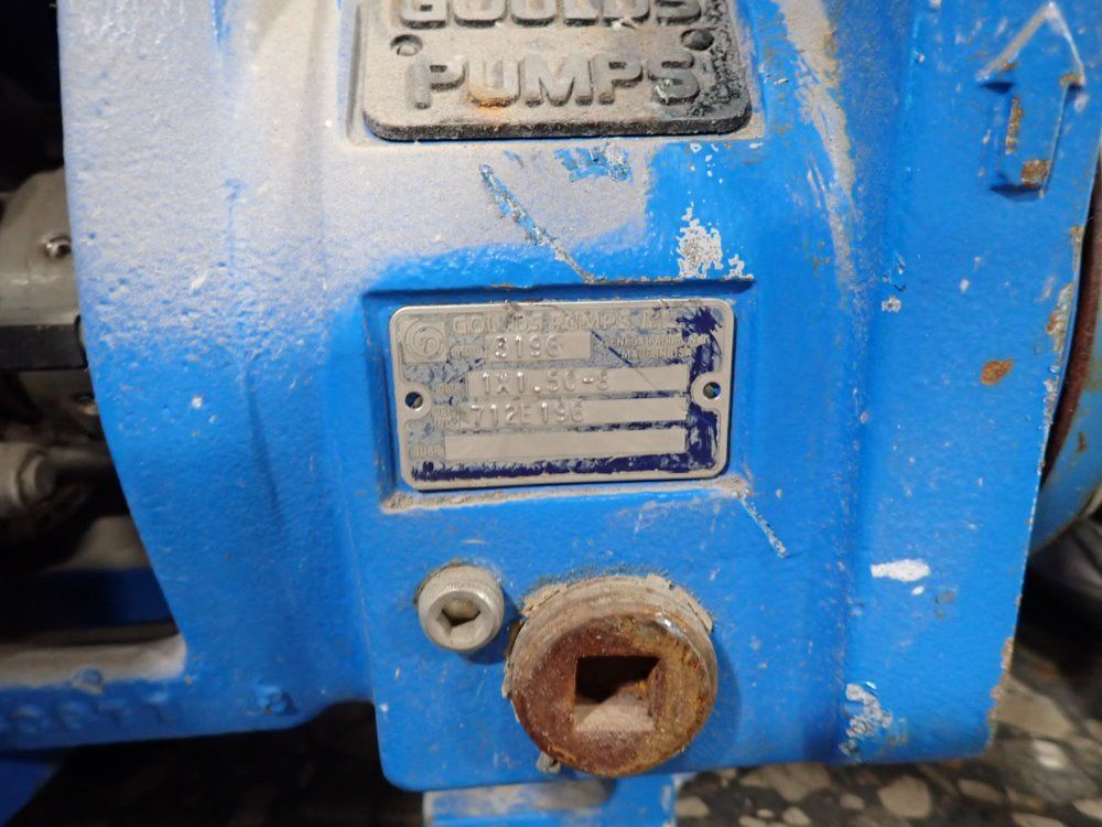 Gould Pumps Inc Pump - 3196