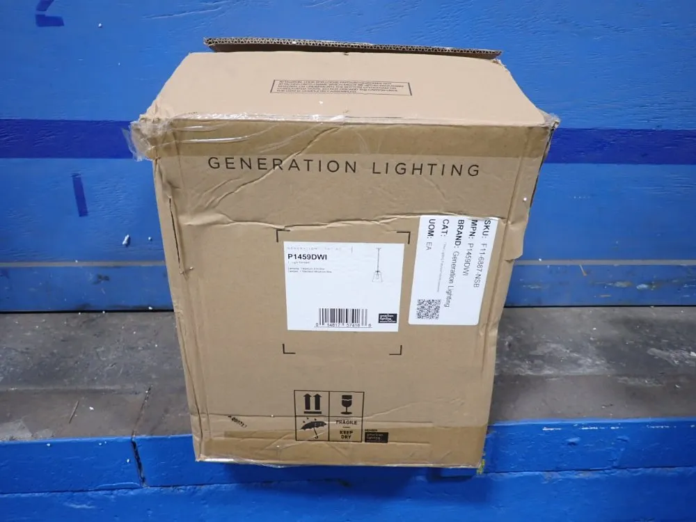 Generation Lighting Light Fixture