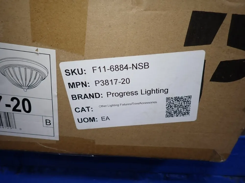 Hubbell Light Fixture - P3817-20