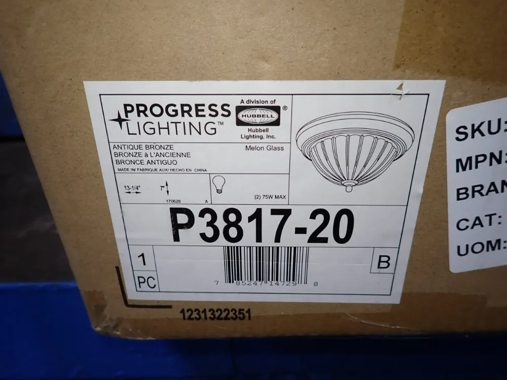 Hubbell Light Fixture - P3817-20
