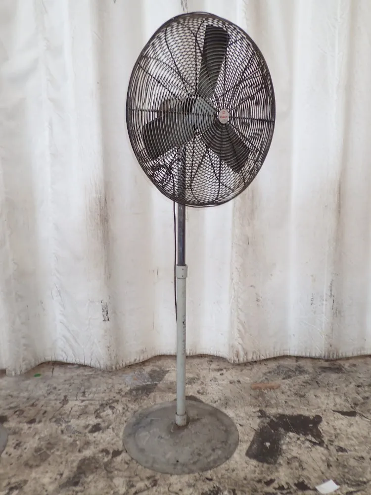 Chelsea Electric Pedestal Fan