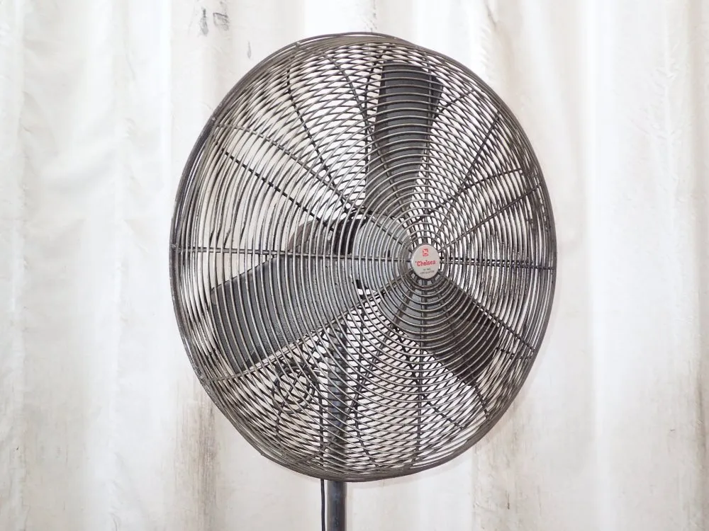 Chelsea Electric Pedestal Fan