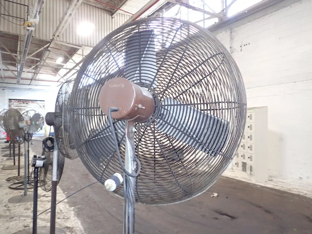 Chelsea Electric Pedestal Fan