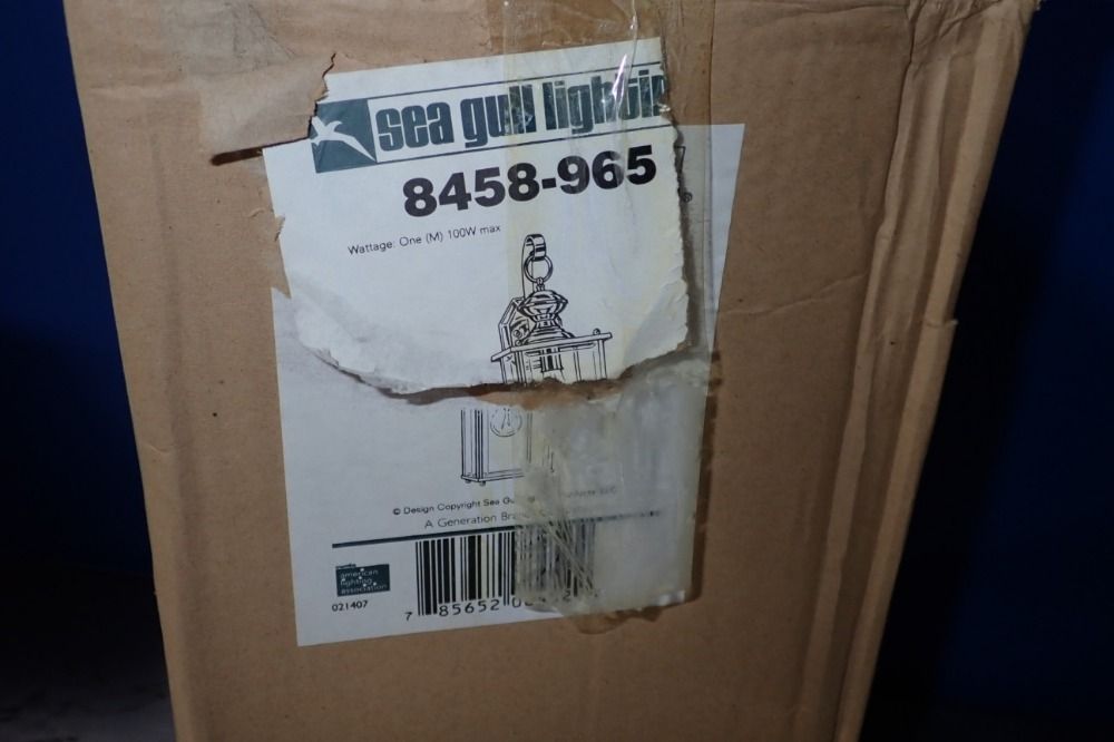 Sea Gull Lighting Light Fixture