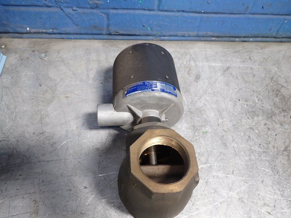 Magnetrol 2 1/4" Electrode