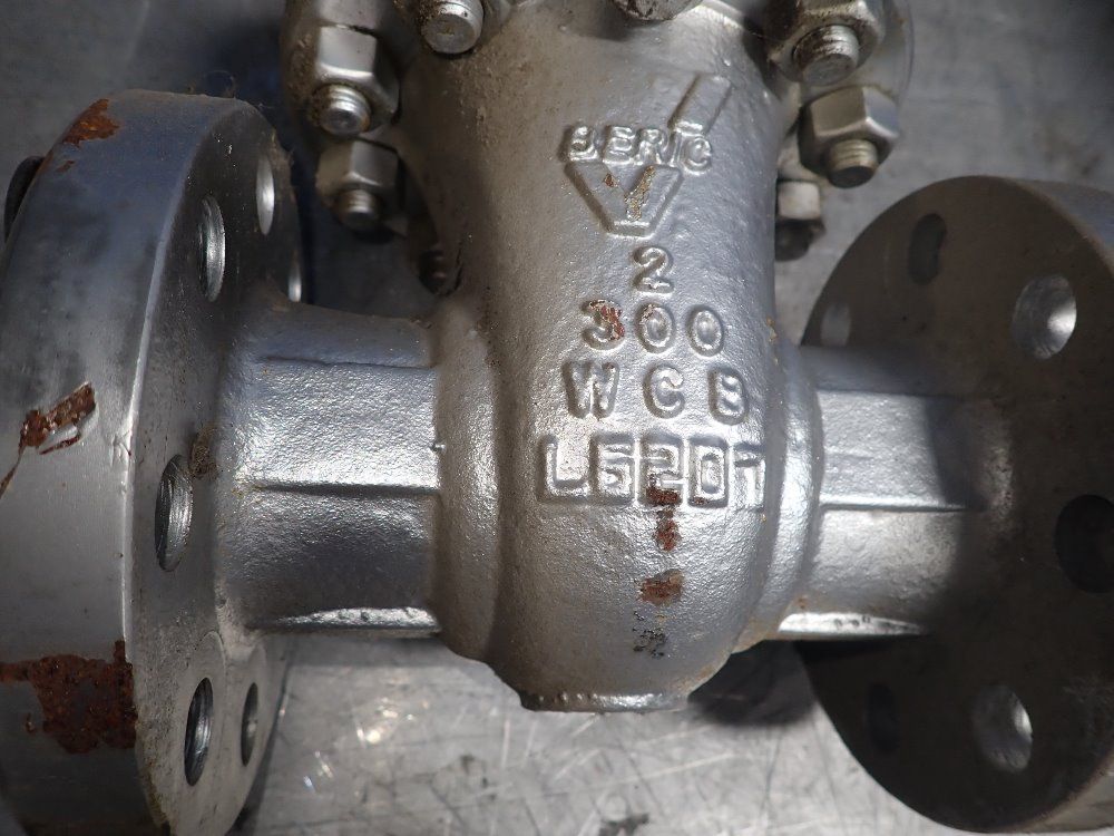 Beric 2" Gate Valve