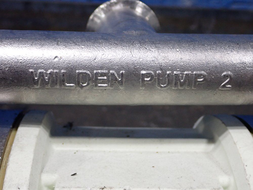 Wilden Diaphragm Pump