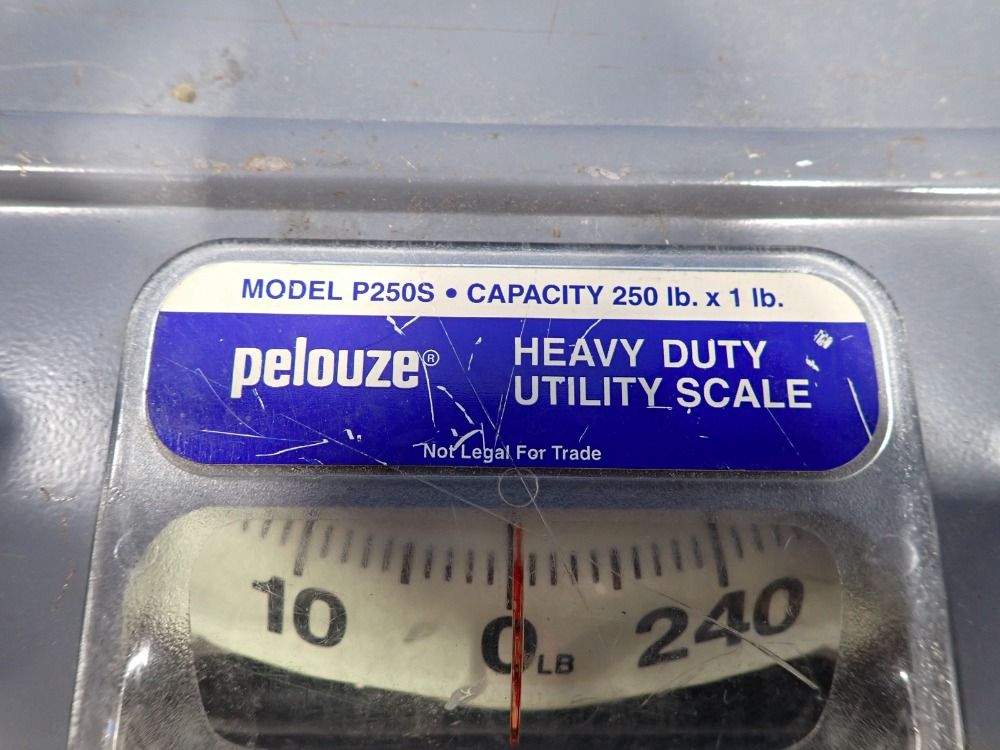 Pelouze 250 Lbs Utility Scale - P250s