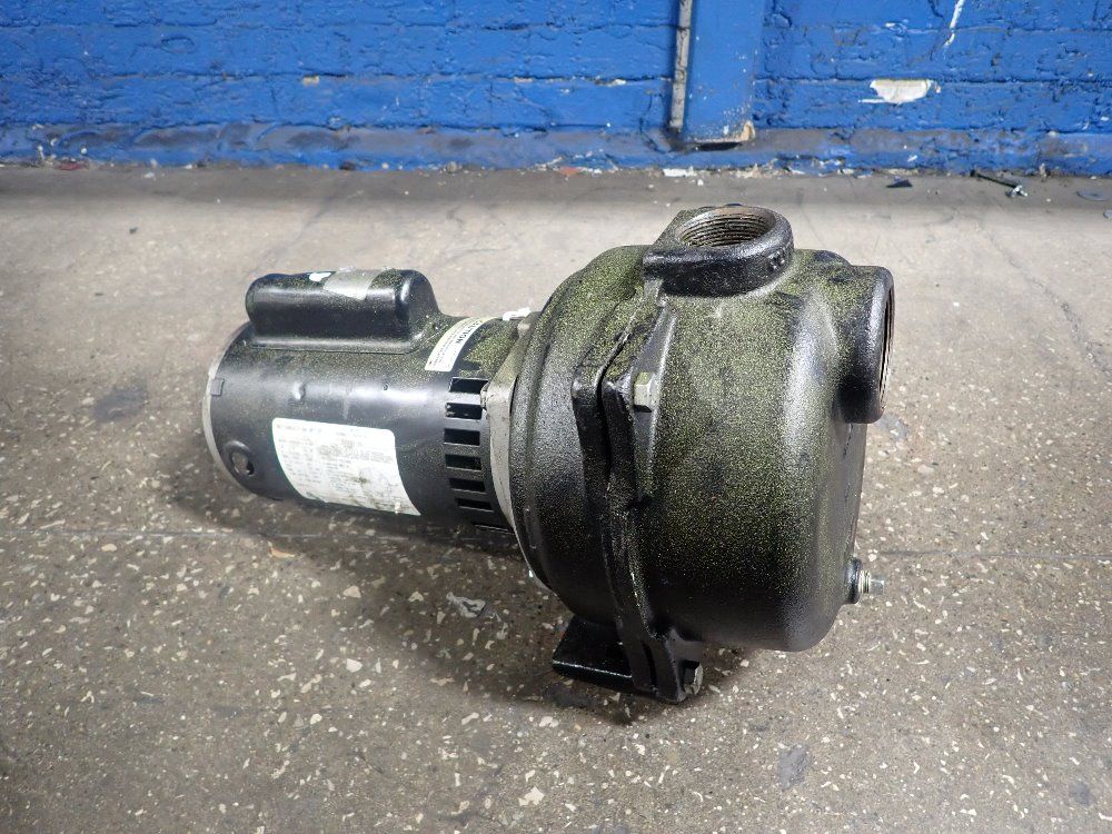 Wayne 1 1/2 Hp Pump - Ycb139-1.5-2b1