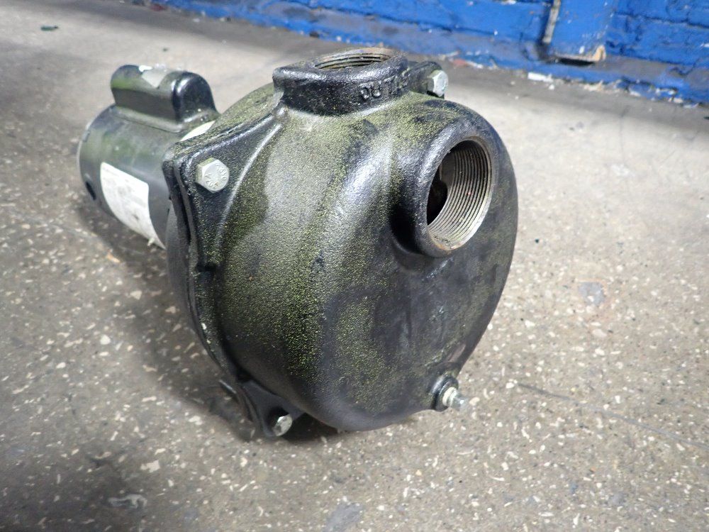 Wayne 1 1/2 Hp Pump - Ycb139-1.5-2b1
