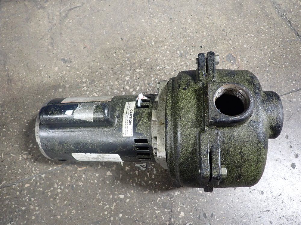 Wayne 1 1/2 Hp Pump - Ycb139-1.5-2b1