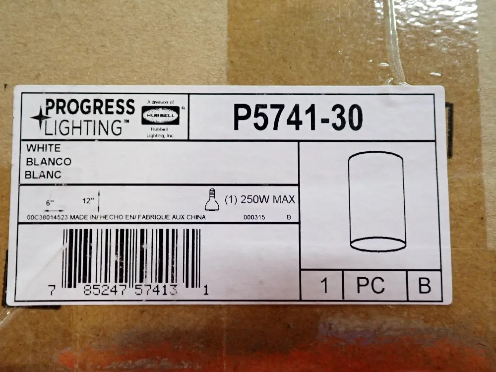 Progress Lighting 100w, 250w Lighting