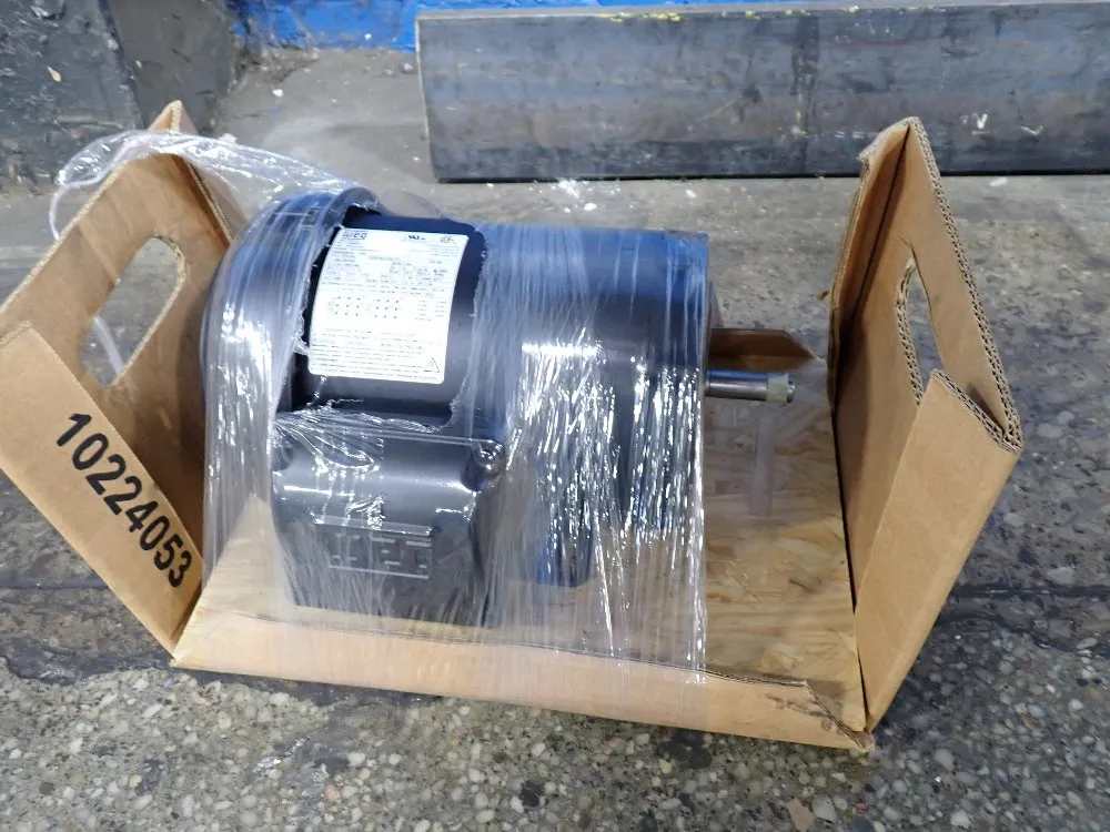 Weg Pump Motor