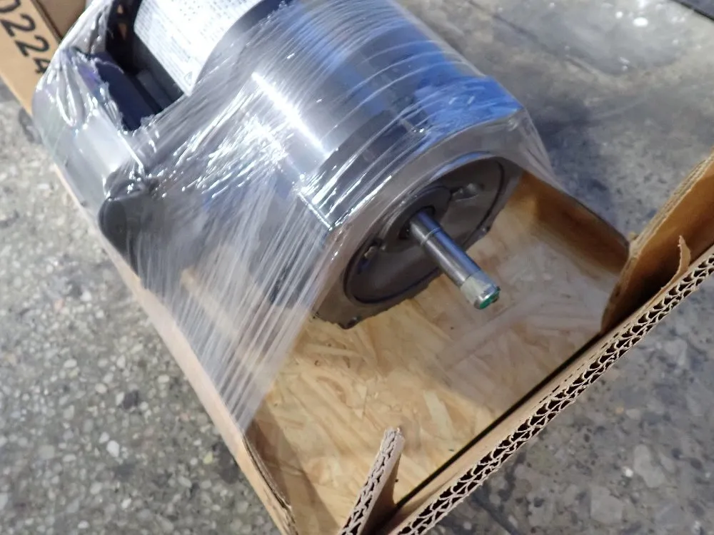 Weg Pump Motor