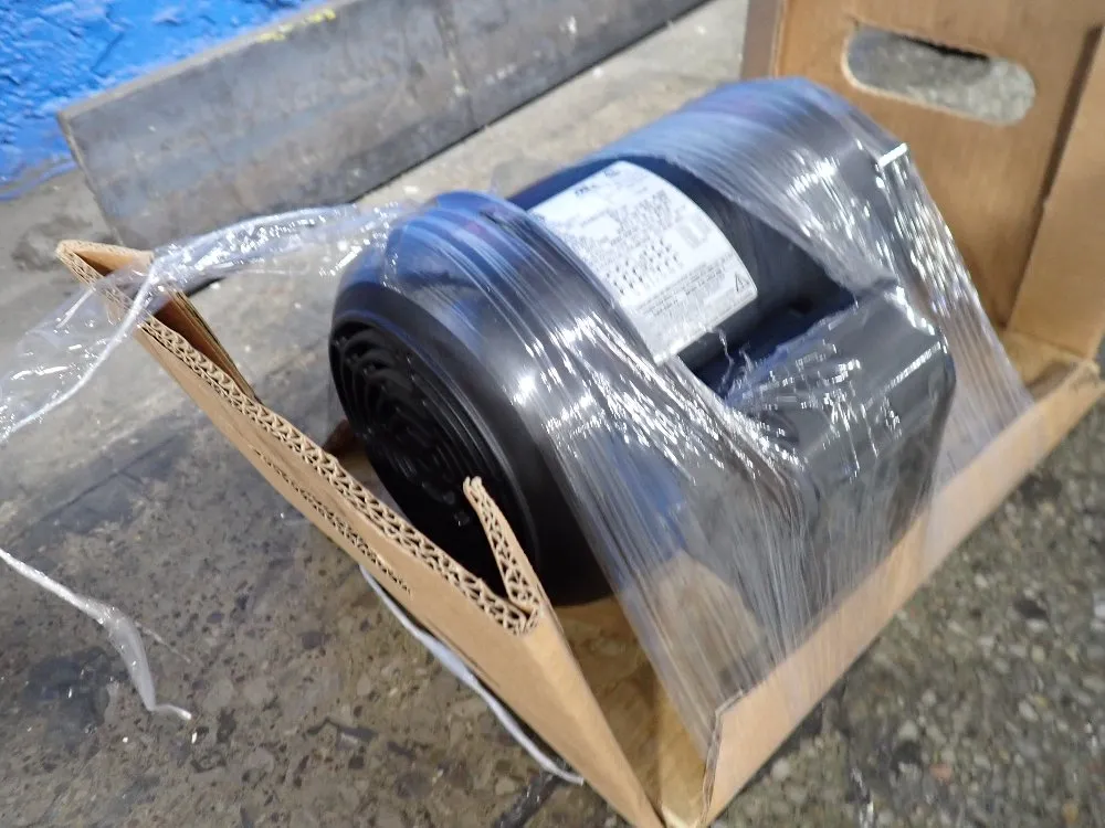 Weg Pump Motor