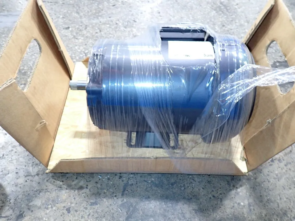 Weg Pump Motor