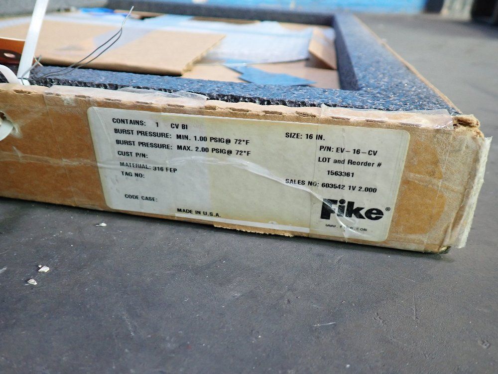 Fike Burst Indicator