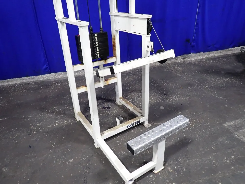 Trotter Chin Up/dip Asset Exercise Machine
