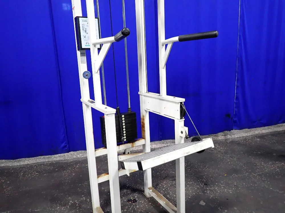 Trotter Chin Up/dip Asset Exercise Machine