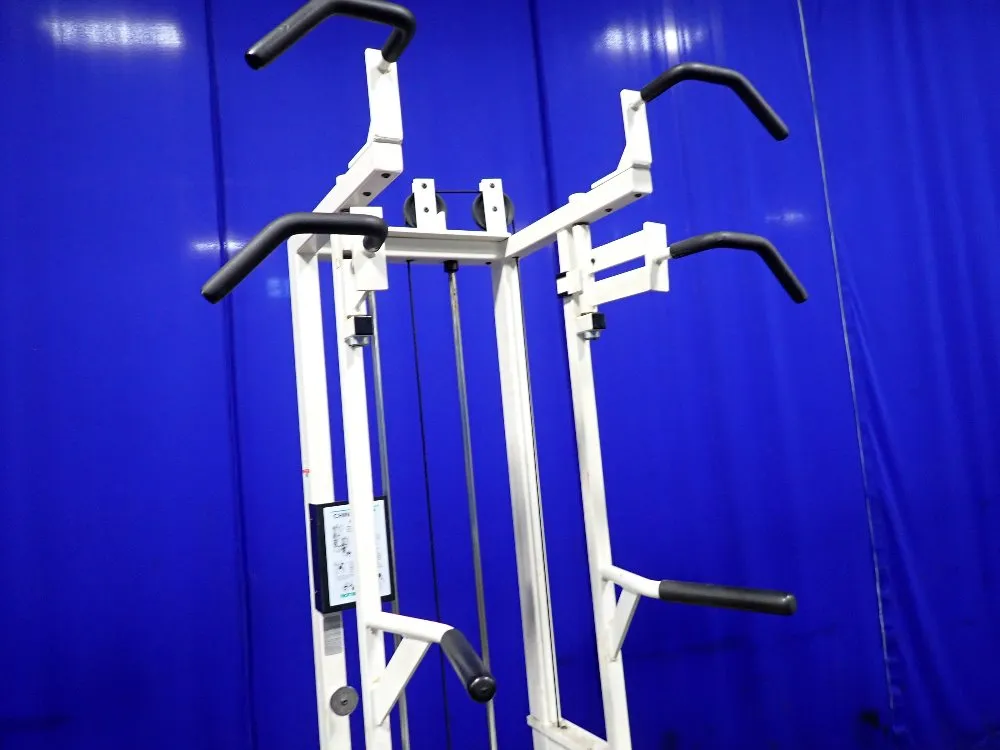 Trotter Chin Up/dip Asset Exercise Machine