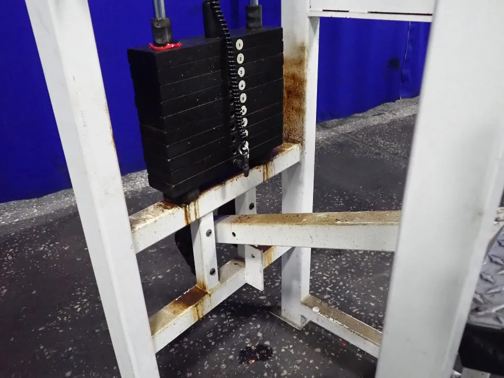 Trotter Chin Up/dip Asset Exercise Machine