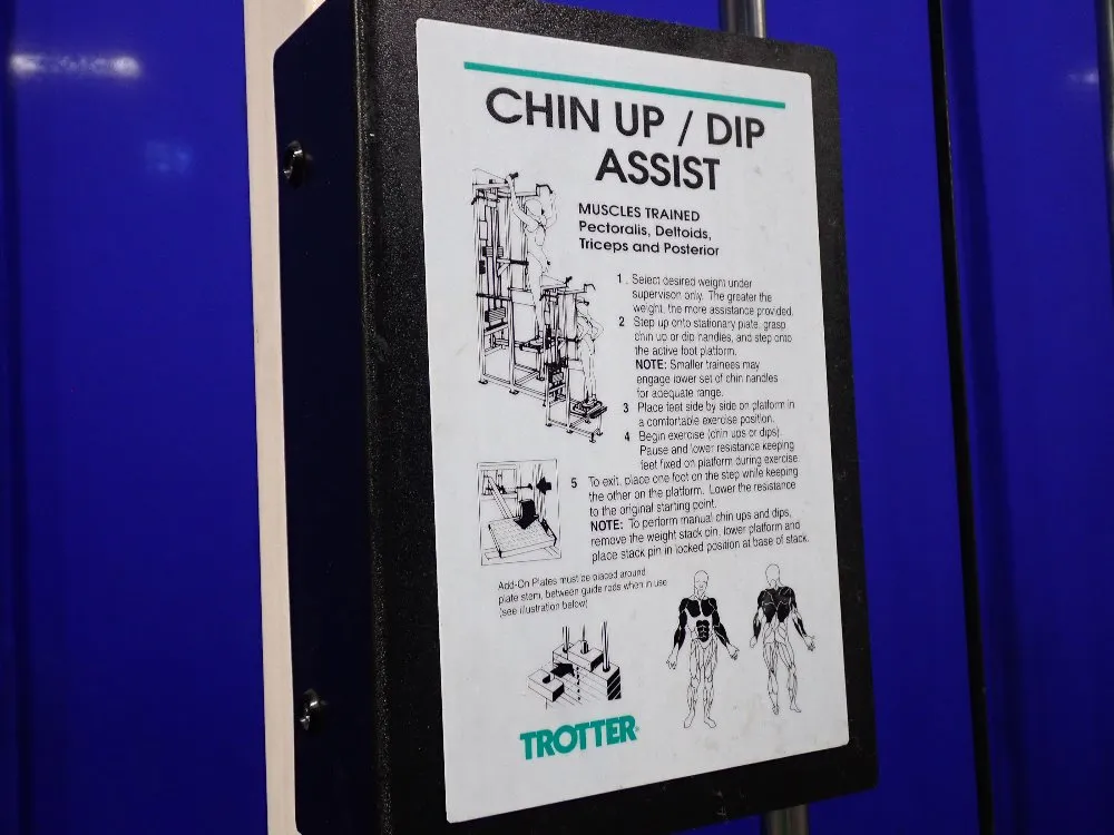 Trotter Chin Up/dip Asset Exercise Machine